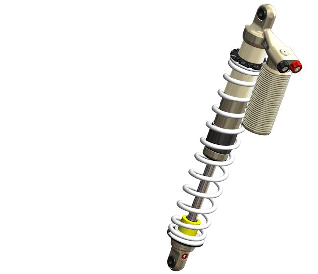 Bg Shape Image